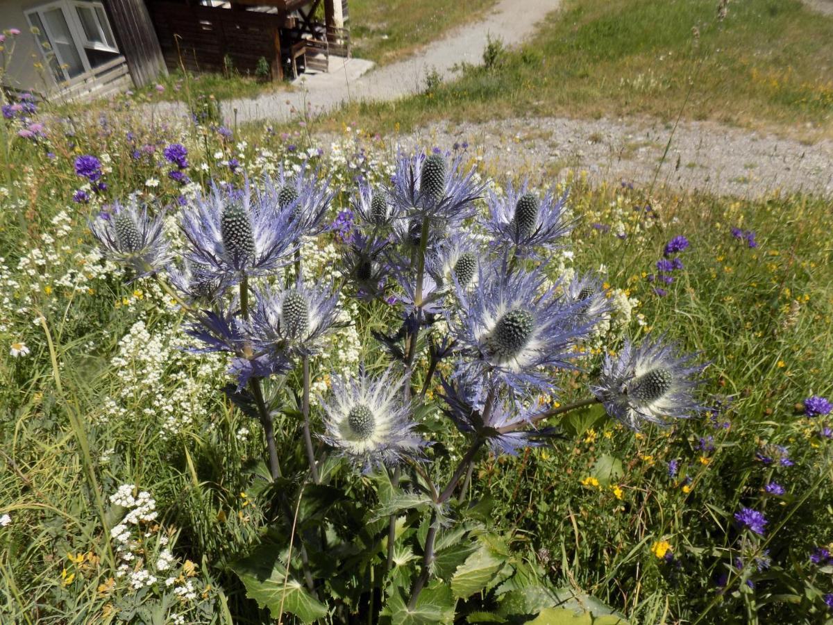 4 P Pied Des Pistes 1850 Risoul